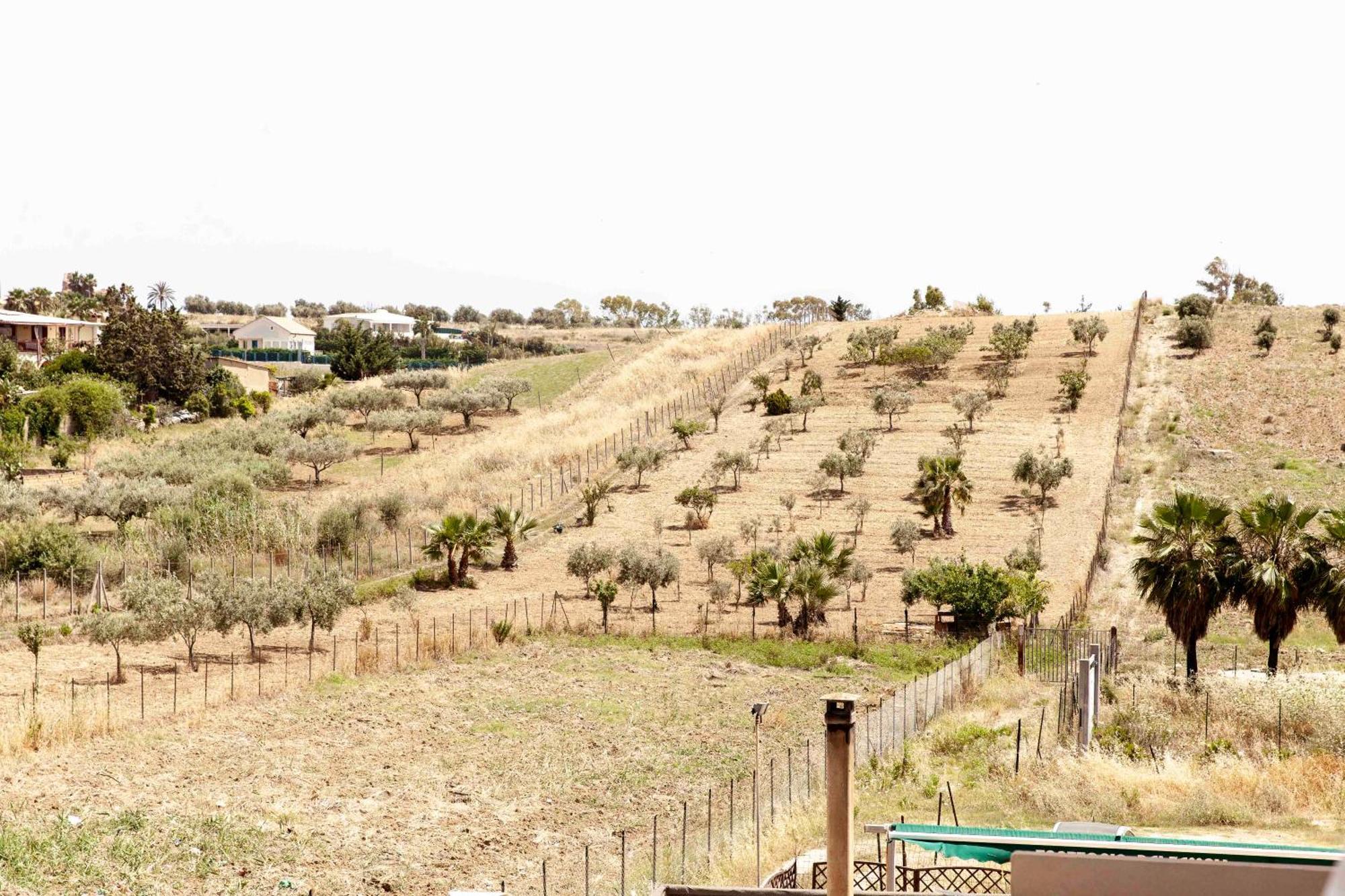 Le Case Di Lucioli' San Leone Extérieur photo